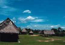 Pucallpa <br> <p>Haga clic en la imagen para mayor información</p>